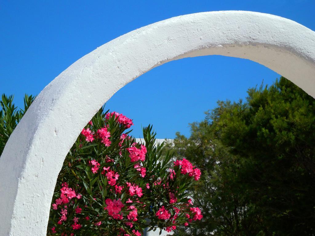 Pavlosx2 Folégandros المظهر الخارجي الصورة